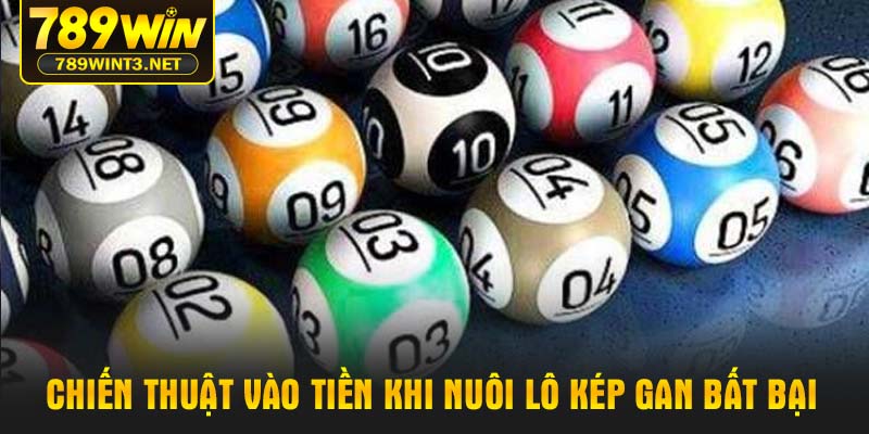 Chiến thuật vào tiền khi nuôi lô kép gan bất bại