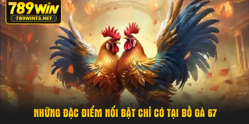 Những đặc điểm nổi bật chỉ có tại bồ gà 67